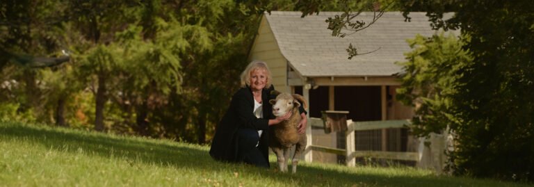 Marlene M. Bell – Exploring New Zealand Through Mystery